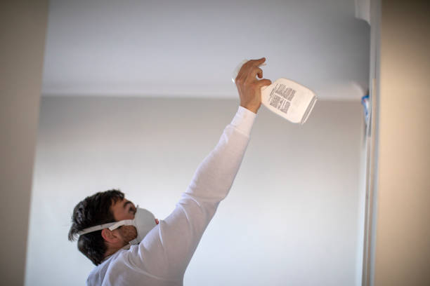 Best Emergency Mold Remediation in Greenbriar, FL